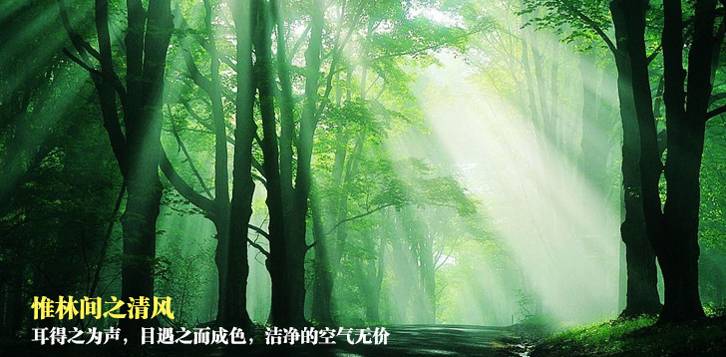 五一去杭州怎么樣？杭州千島湖五一游玩攻略